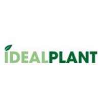 Ideal Plant